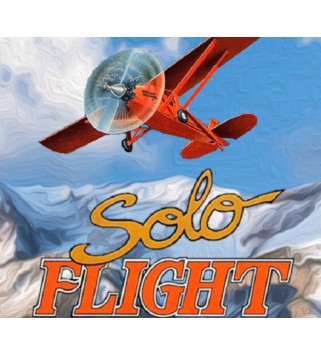 Solo Flight GOG.com Key GLOBAL
